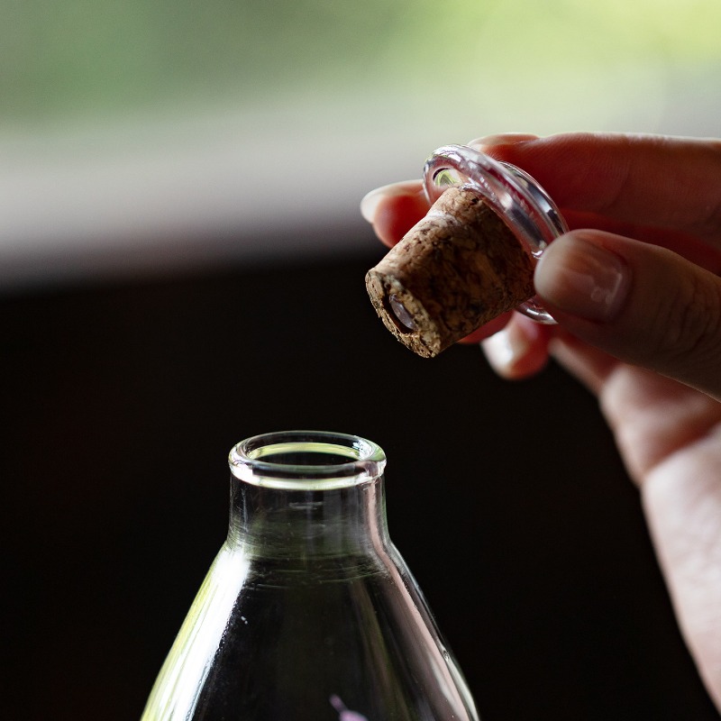 Hoge borosilicaat glazen fles, - Cold Brew Bottle recensie en prijs