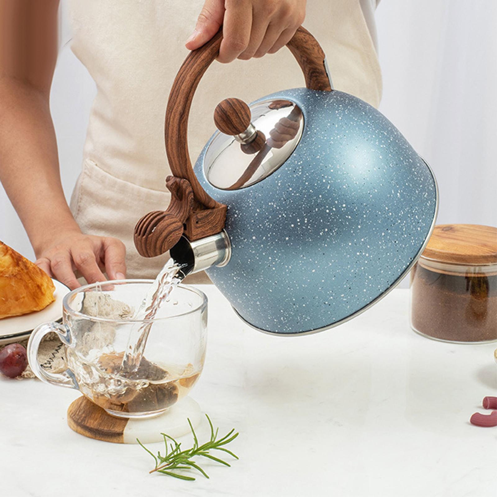 Waterkoker voor op het fornuis - Coffee Tea Etc recensie en prijs