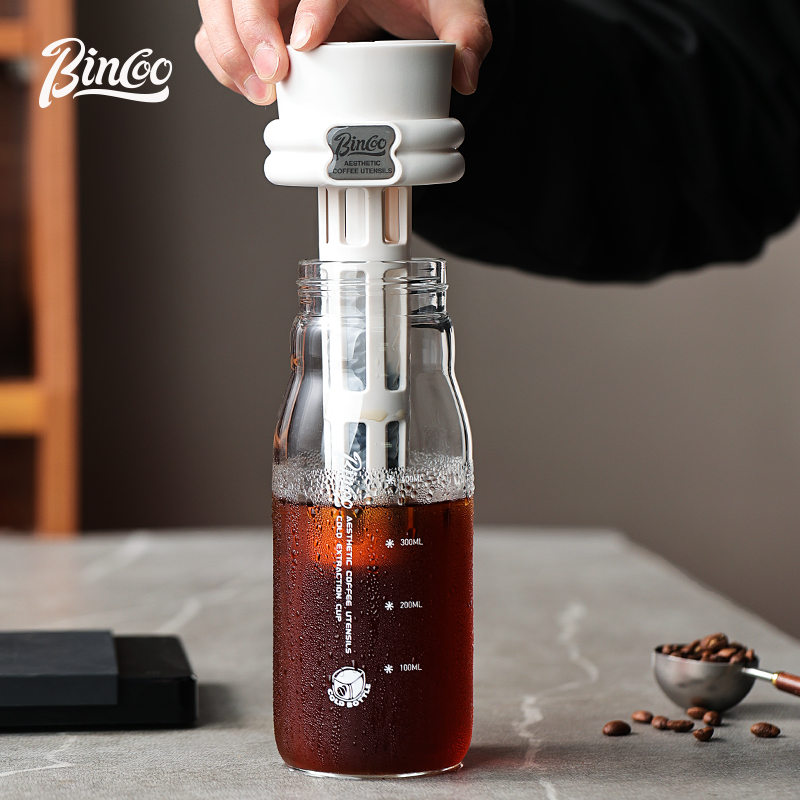 Bincoo 600ML Zomer Cold Brew K - Cold Brew Bottle recensie en prijs