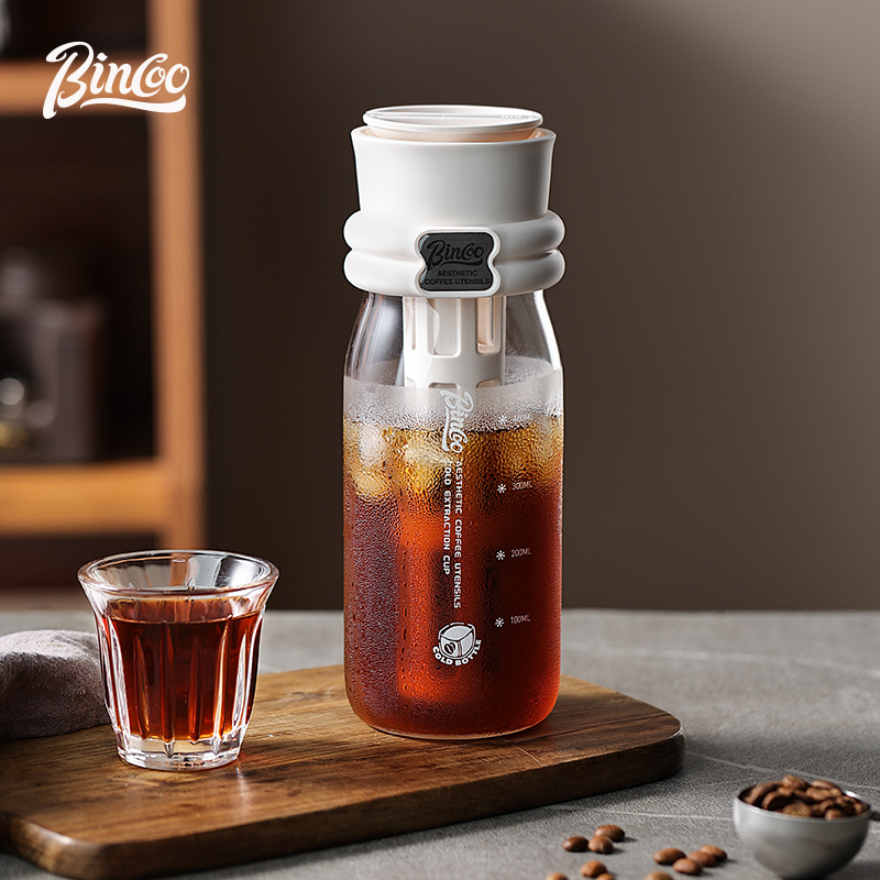 Bincoo 600ML Zomer Cold Brew K - Cold Brew Bottle recensie en prijs